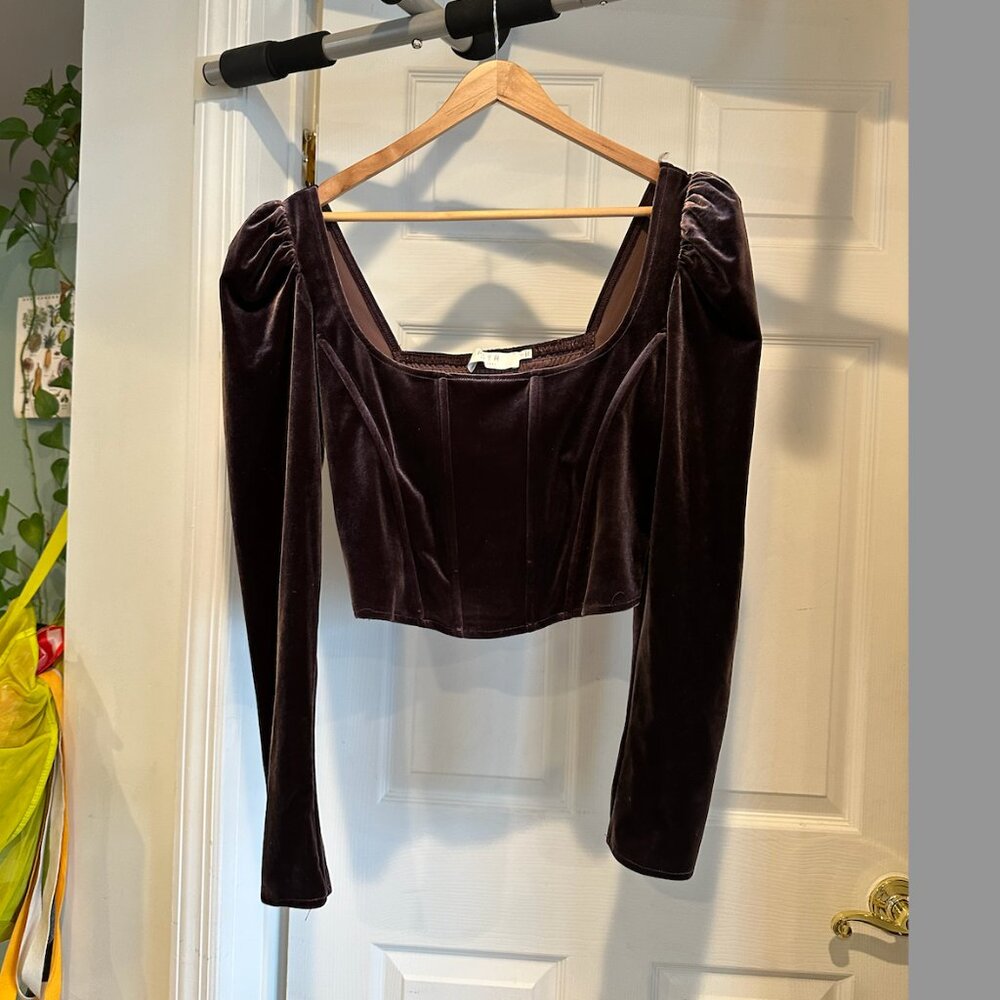 AST The Label Brown Velvet Smocked Corset Top Size L